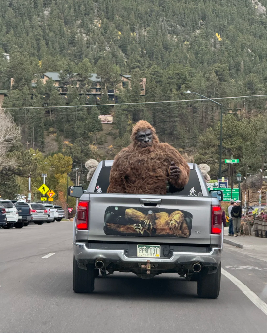 MegoHost's tweet image. Hey Twitter, I’m new here! Let’s see what all the hype is about 😎✨ #HelloTwitter