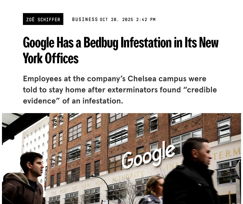 DesignItForUs's tweet image. Ask the bugs about the Open App Markets Act 🕵