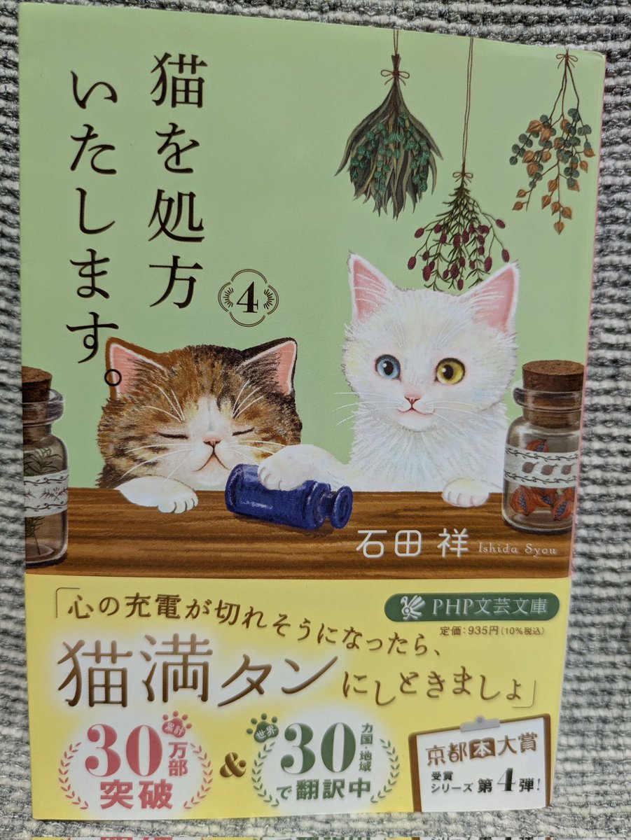 ポンポコ (@79bSaqg56enN3XJ) / Posts / X