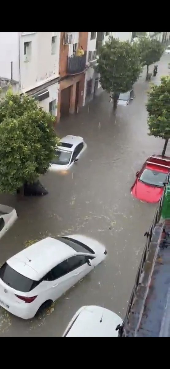 BonoBorrero's tweet photo. Hoy se vuelve a demostrar que SEVILLA no está PREPARADA ni ADECUADA para soportar lluvias torrenciales e inundaciones como las vividas en el día de hoy.

Hemos tenido mucho tiempo para subsanar los problemas subterráneos que tiene la ciudad.

Luego no quiero llantos ni EXCUSAS. https://t.co/JYXuVEcS7D