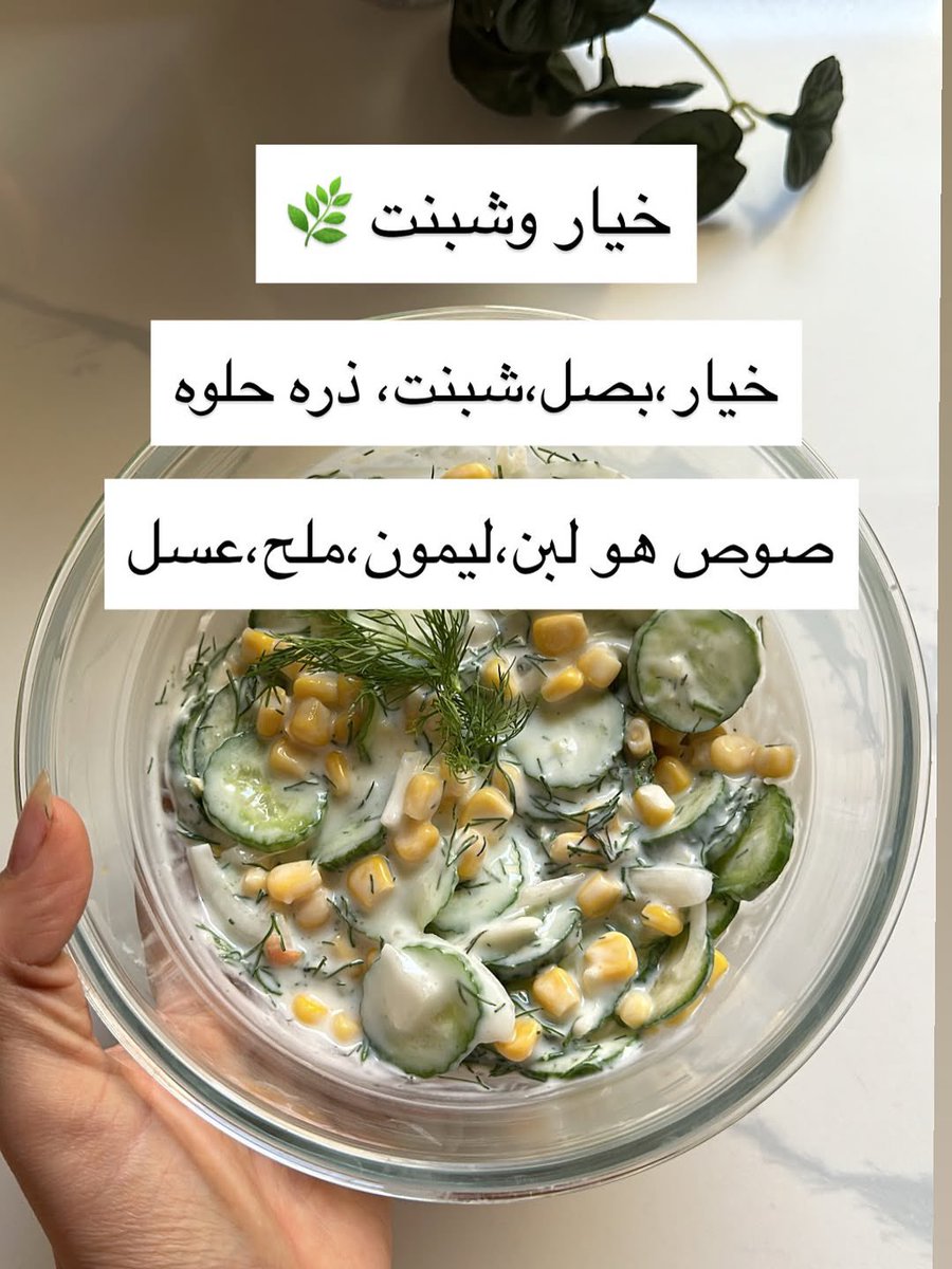 true8_'s tweet image. سلطـات لذيذة احفظوها عندكم 🥗