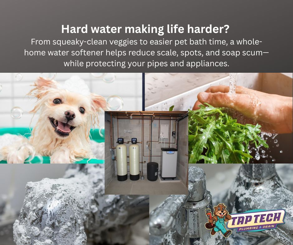 😱  If you’re scrubbing spots off glasses, seeing white scale on fixtures, or your skin feels dry after showers, you’re living with hard water. A whole-home softener helps: less scale, longer appliance life, and easier cleanups.

#WaterSoftener #WaterTreatment #HardWater
