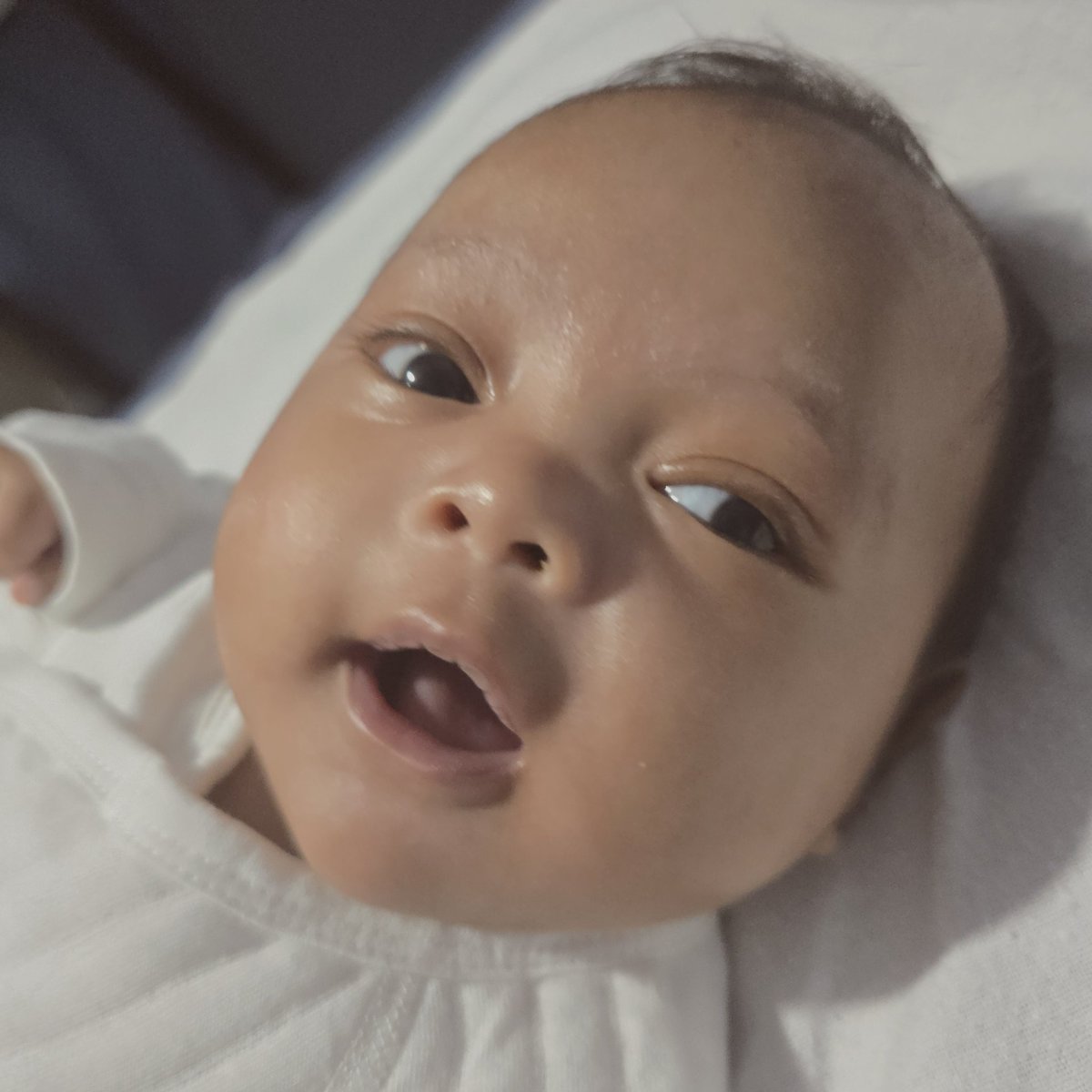 Dpshtさん tweet media