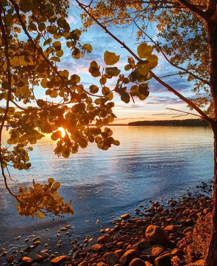 AglloMuniz's tweet image. #October29th