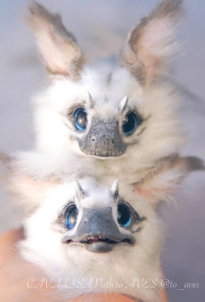 CAVALISA/アートドール作家 (@to_aves) / Posts / X