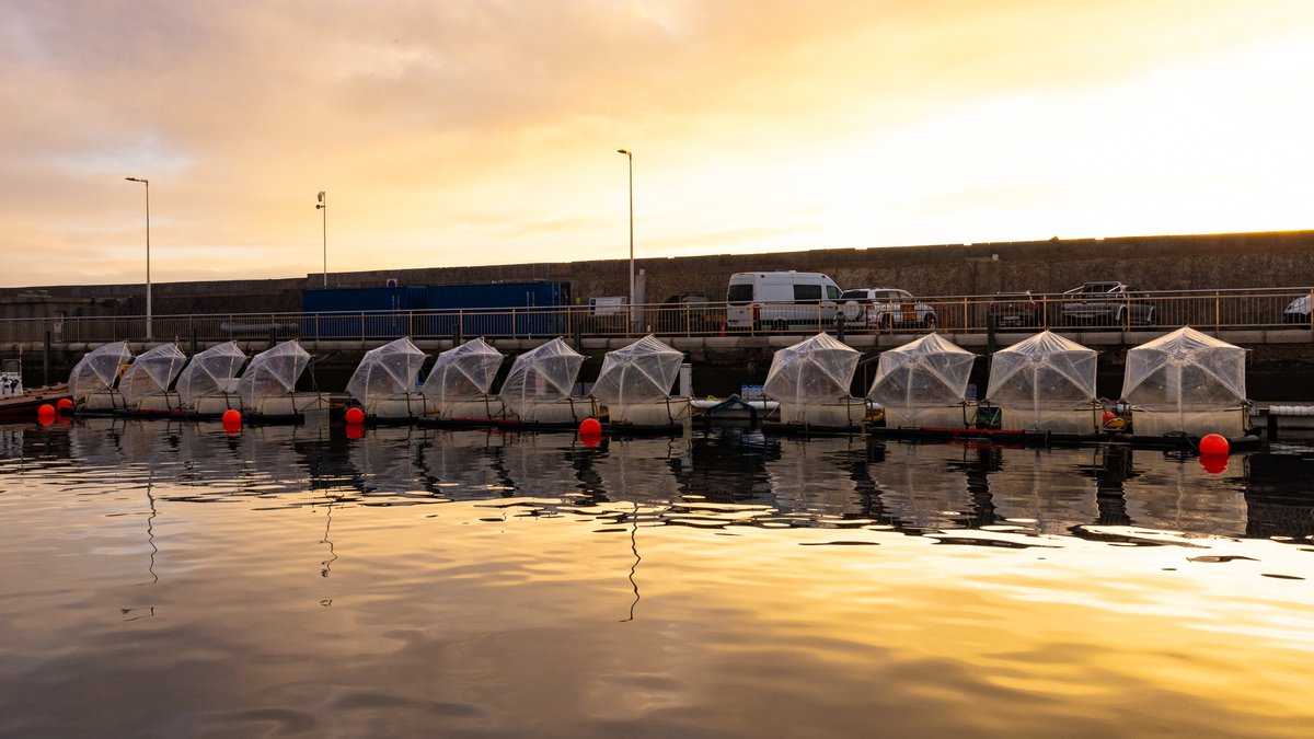 Biological Oceanography Group tweet media