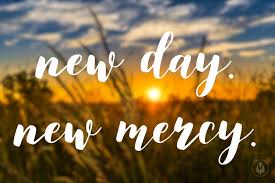 Meredith R. Sheppard (@mrsmsheppard) on Twitter photo 