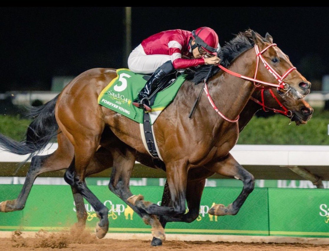 Ahora este es mi favorito en la Breeders' Cup Classic 🔥🔥🔥