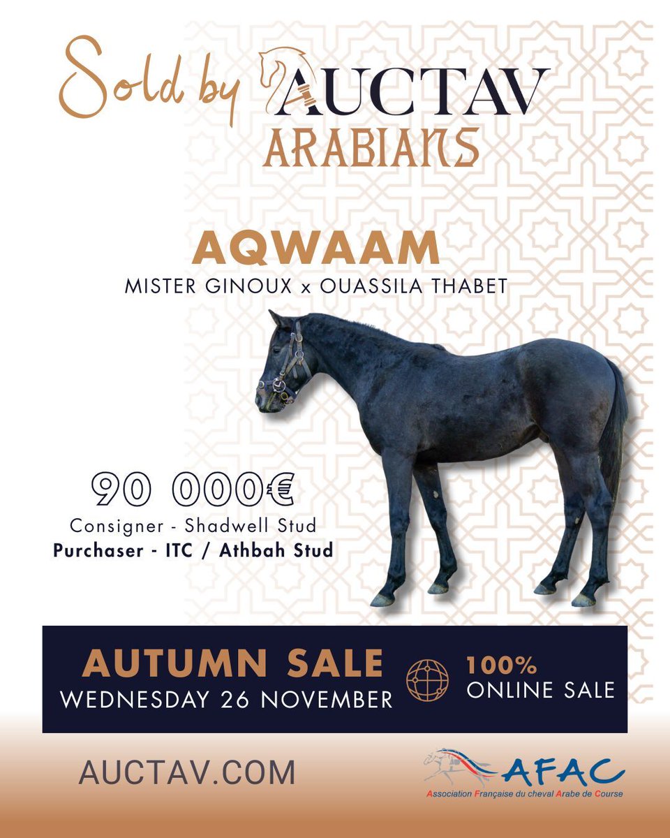 Sold by Auctav ✨

🇬🇧 AQWAAM (Mister Ginoux), sold for €90,000 during the 2022 Arabian Sale, caused a sensation and captured the hearts of ITC and Athbah Stud.
🎯 Could the next rising star be yours?
👉 Join us on November 26 for the next Arabian Sale.