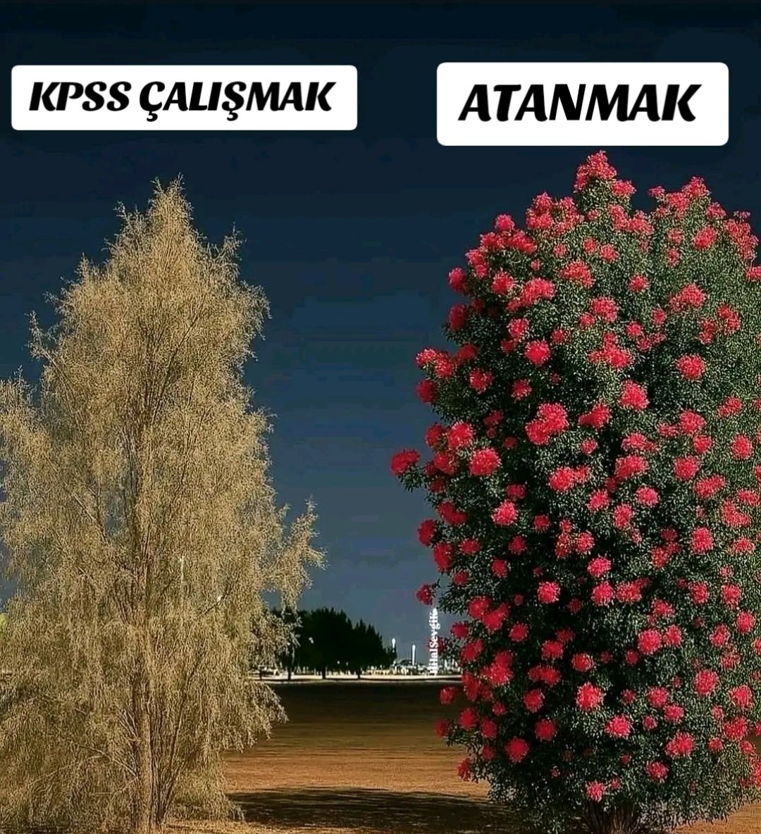 Daha iyi açıklanamazdı