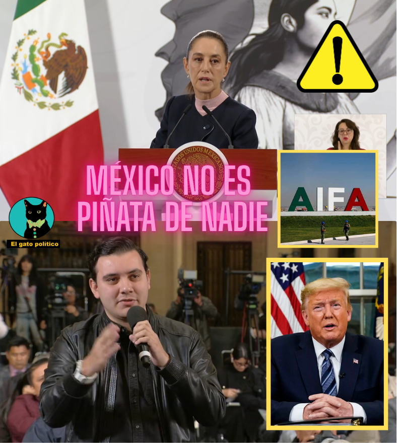 El gato político tweet media