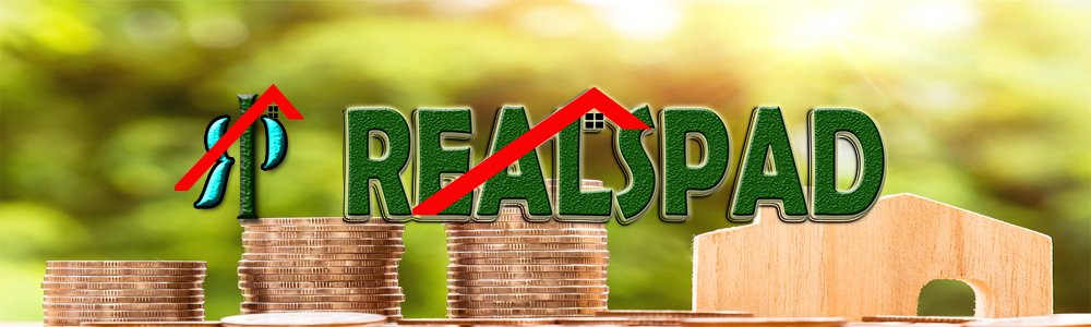 Realspad tweet media