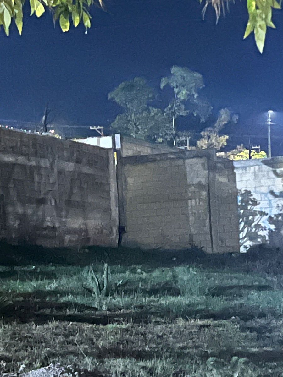 🐶 Un travieso lomito quedó atorado entre las bardas de un lote baldío en Lomas 4ta Sección.

Acudimos al rescate y logramos liberarlo, devolviéndolo sano y salvo a su dueña 💚

Recuerda que toda vida importa.
#RescateAnimal #TodaVidaImporta #ProtecciónCivilMunicipal