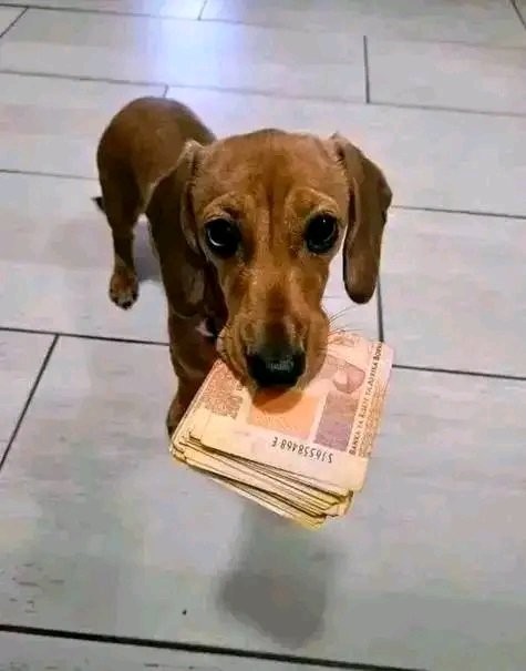 realnicolas_m's tweet photo. @ChrisExcel102 Take this @ChrisExcel102  and plz buy them electricity in that parliament it'll be enough for 5 years there in zimdolla https://t.co/DgaFJkt6lG
