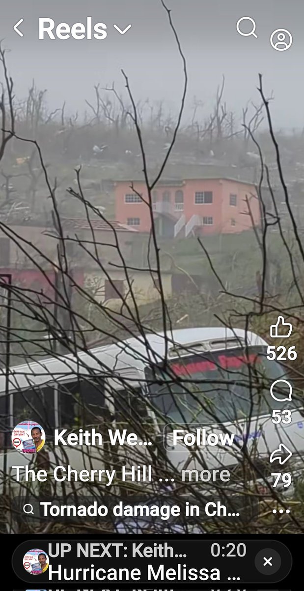 steveginx's tweet image. Before/after  Belmont Jamaica @bobmaxon @gilsimmons .