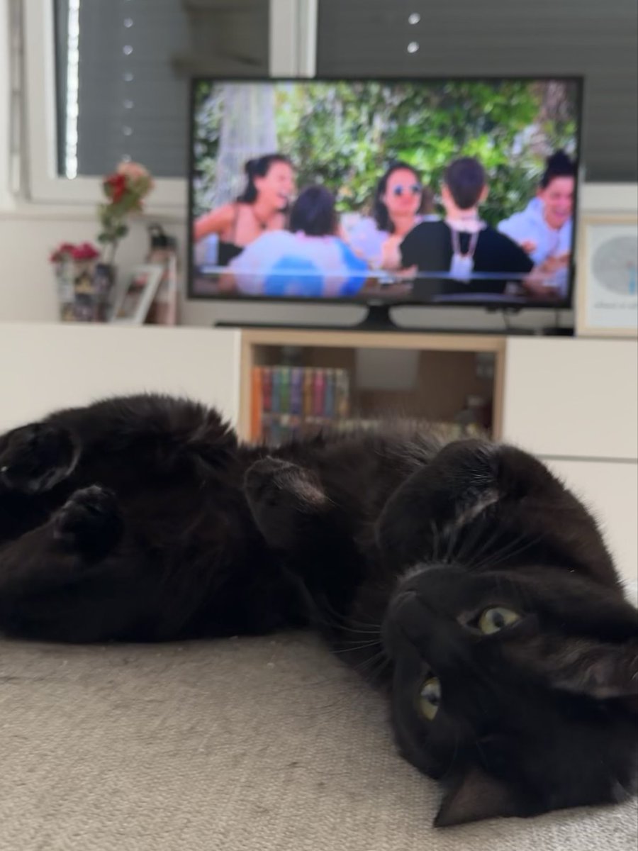 Ivcychen's tweet image. it’s their day 💗