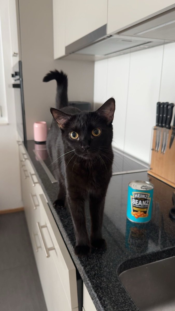 Ivcychen's tweet image. it’s their day 💗