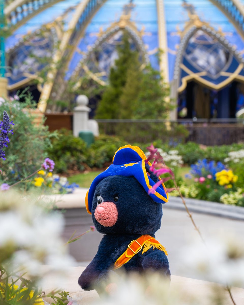 UniversalORL's tweet image. Live, laugh, love Captain Cacao 🧸