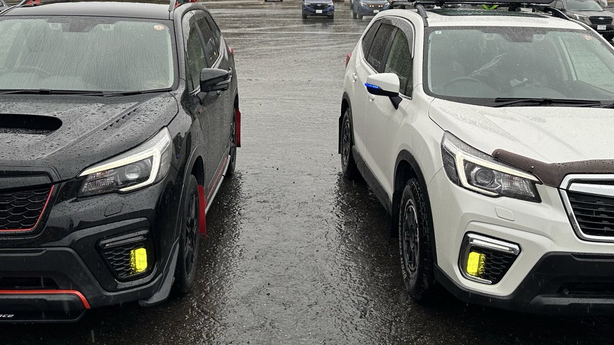 lemon_forester's tweet image. 100いいねてんきゅー!!