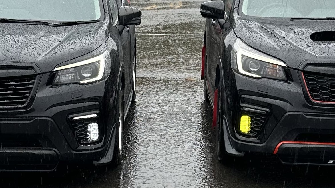 lemon_forester's tweet image. 100いいねてんきゅー!!