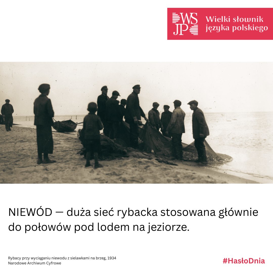 WSJP_PAN's tweet photo. #HasłoDnia NIEWÓD — duża sieć rybacka stosowana głównie do połowów pod lodem na jeziorze.
#WSJP #PAN https://t.co/mJKBW6gcEX