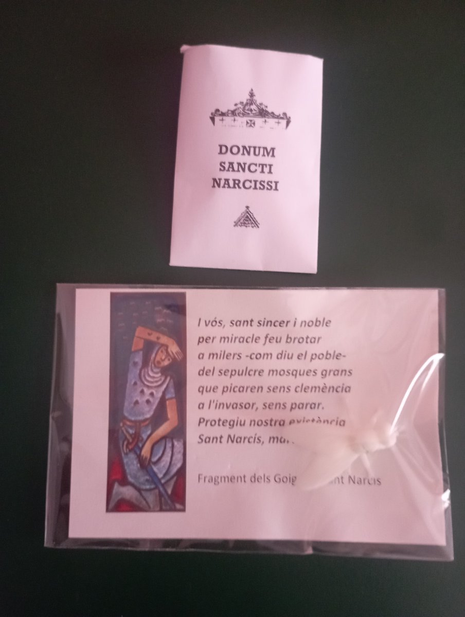 Diada de Sant Narcís amb tots els ets i uts.