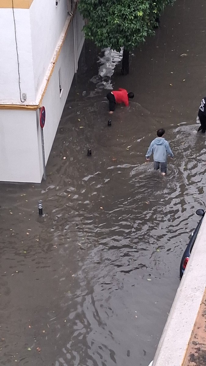 ManinaHarley137's tweet image. Y alfinal quien ayuda siempre es el ciudadano
Gente abriendo los husillos porque aquí nadie viene
@Ayto_Sevilla @EmergenciasSev