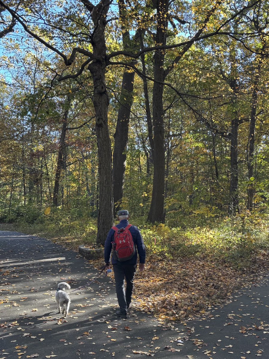 JaniceDean's tweet photo. "Until one has loved an animal, a part of one's soul remains unawakened." 🐾 https://t.co/Ni7OTHMXA6