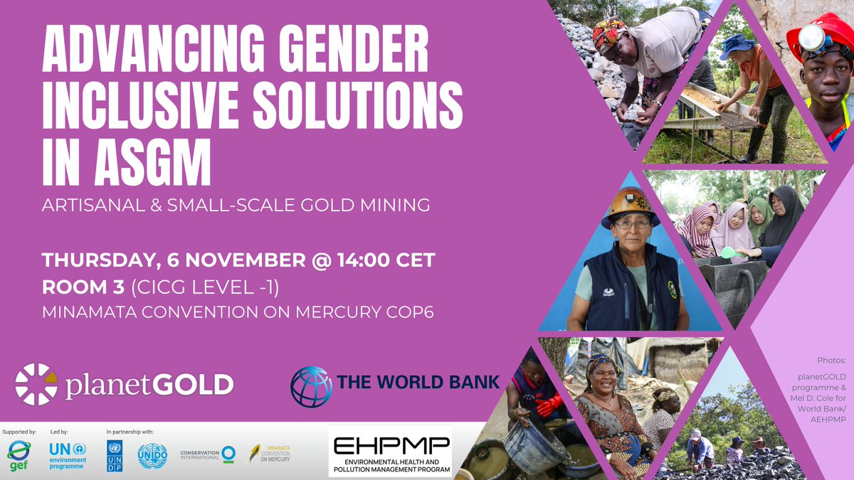 planetGOLD_org's tweet photo. Attending #MinamataCOP6 next week? Join us & the #WorldBank’s Africa Environmental Health & Pollution Management Program on Thursday, November 6 for a Knowledge Lab on #GenderResponsive approaches in artisanal & small-scale gold mining. #WomenInMining
https://t.co/ANleYa6L5O https://t.co/oWjDeZBQOt