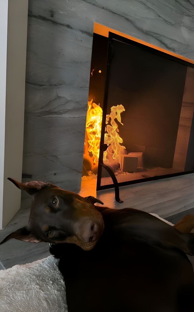 WRTBYR's tweet photo. ㅤ
Just me and Alpha.
ㅤ ㅤ https://t.co/sBIGG905J3