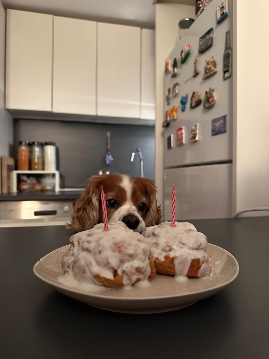 GUZEL PRENSESIM ARTIK 9 YASINDA🥳💖😭