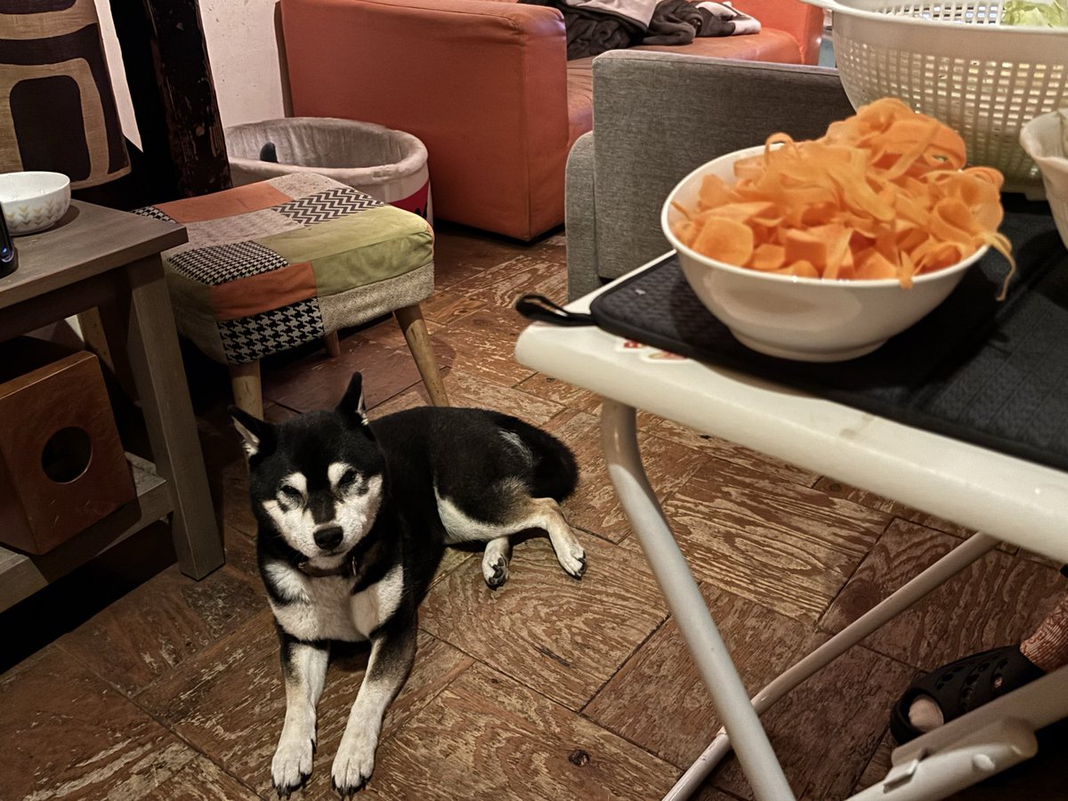 あっきん (@D30ThFQsmsxiDGH) / Posts / X あっきん (@D30ThFQsmsxiDGH) / Posts / X