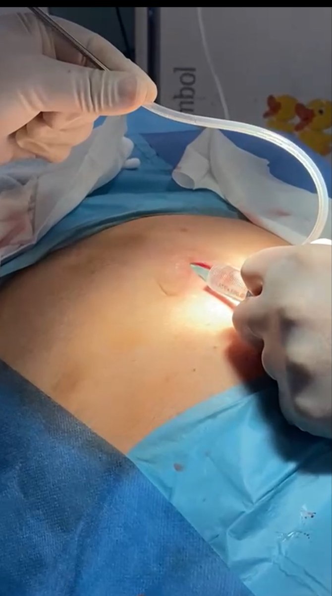 BORIS GONZALES tweet media