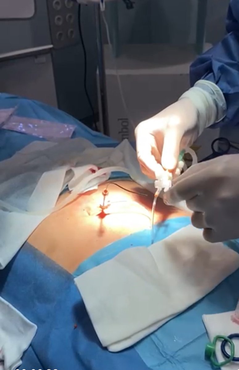 BORIS GONZALES tweet media