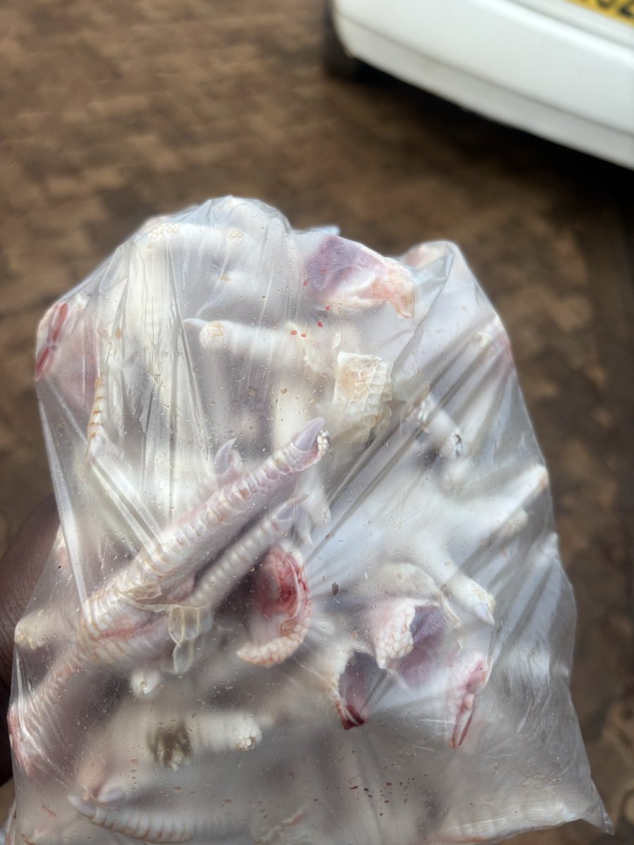 _Wanjru's tweet image. Kwa base ya virenje huwa nawaambia wanipackie miguu za mia za paka😔😔
The paka is me😔😔😔 
Hizi naenda kuchemsha tu na chumbi na chilli flakes. Itakuwa sherehe kubwa sana leo.