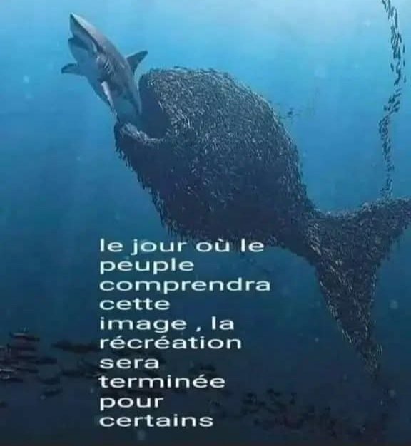 <a href="/CitizenMediaFR/">Citizen Média 🗞️</a>