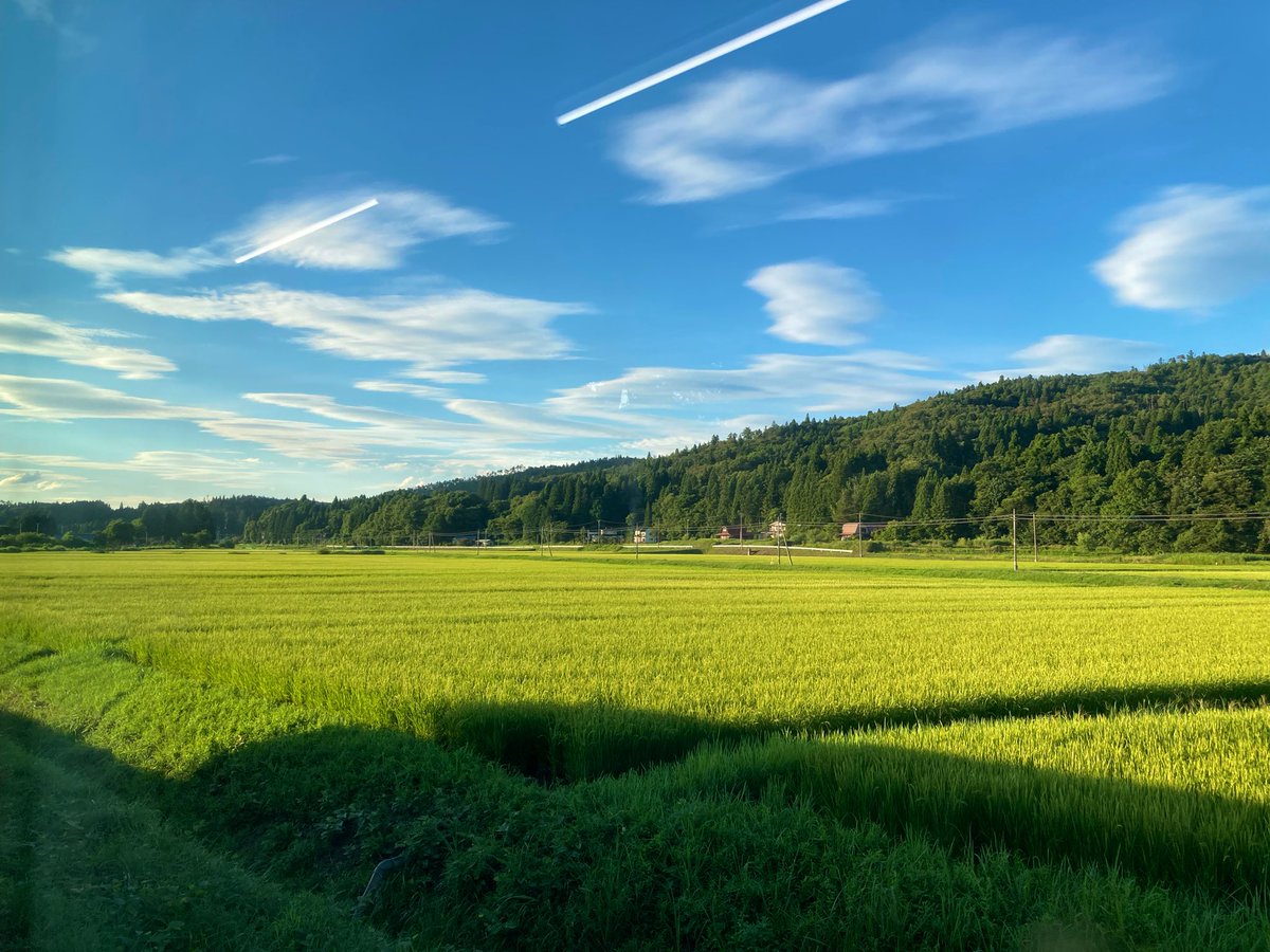 日々ノ (@hibiyu1010) on Twitter photo 