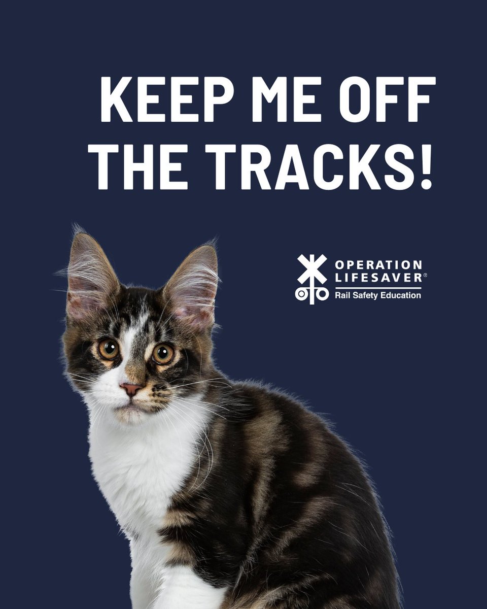 Today and every day, keep your furry friends away from tracks and trains.

#NationalCatDay