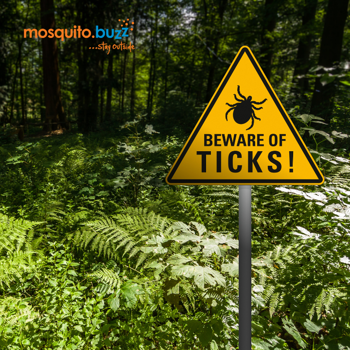 themosquitobuzz's tweet photo. #TickTruth // Ticks won’t wait for summer to show up again. 🕷️ Even in cooler weather, they can stay active and latch onto people or pets. Protect your yard and your family with treatments that keep ticks away all year long. #tickcontrol #pestcontrol #mosquitobuzz https://t.co/XwY9DJIFDT