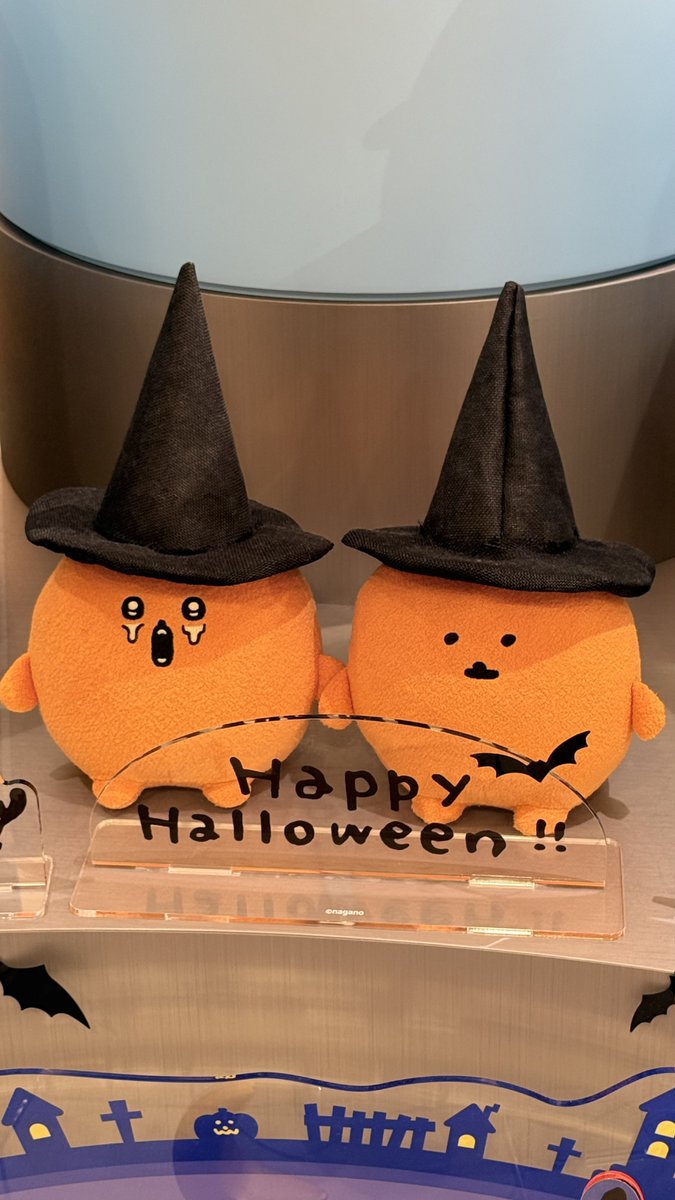 젤리ㅇㅇ tweet media