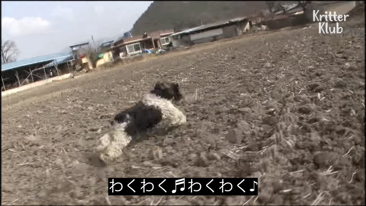 11月前半🍫🎶

8日(土) 20-23 🌟ケモ耳メイド🌟
12日(水) 20-23