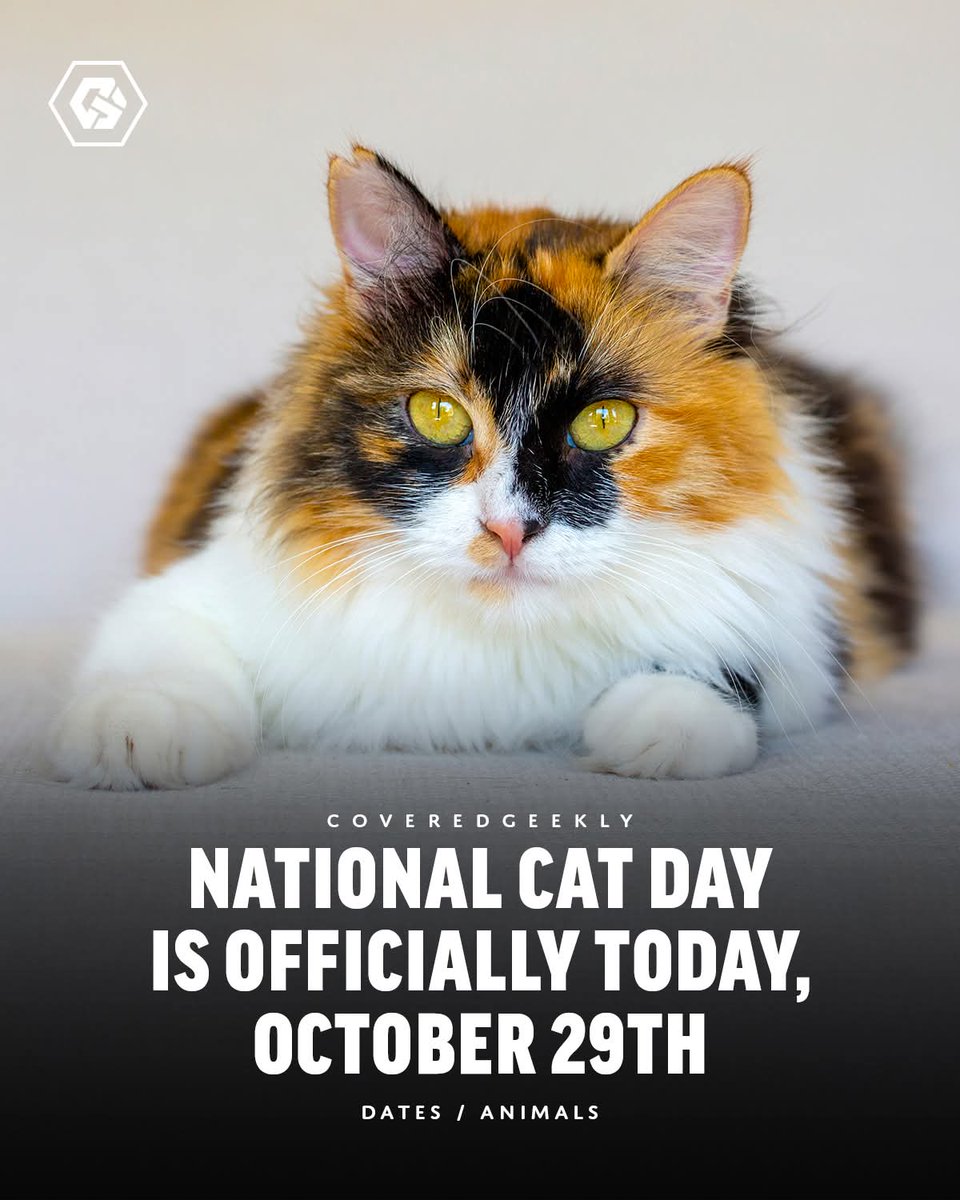 <a href="/Number10cat/">Larry the Cat</a>