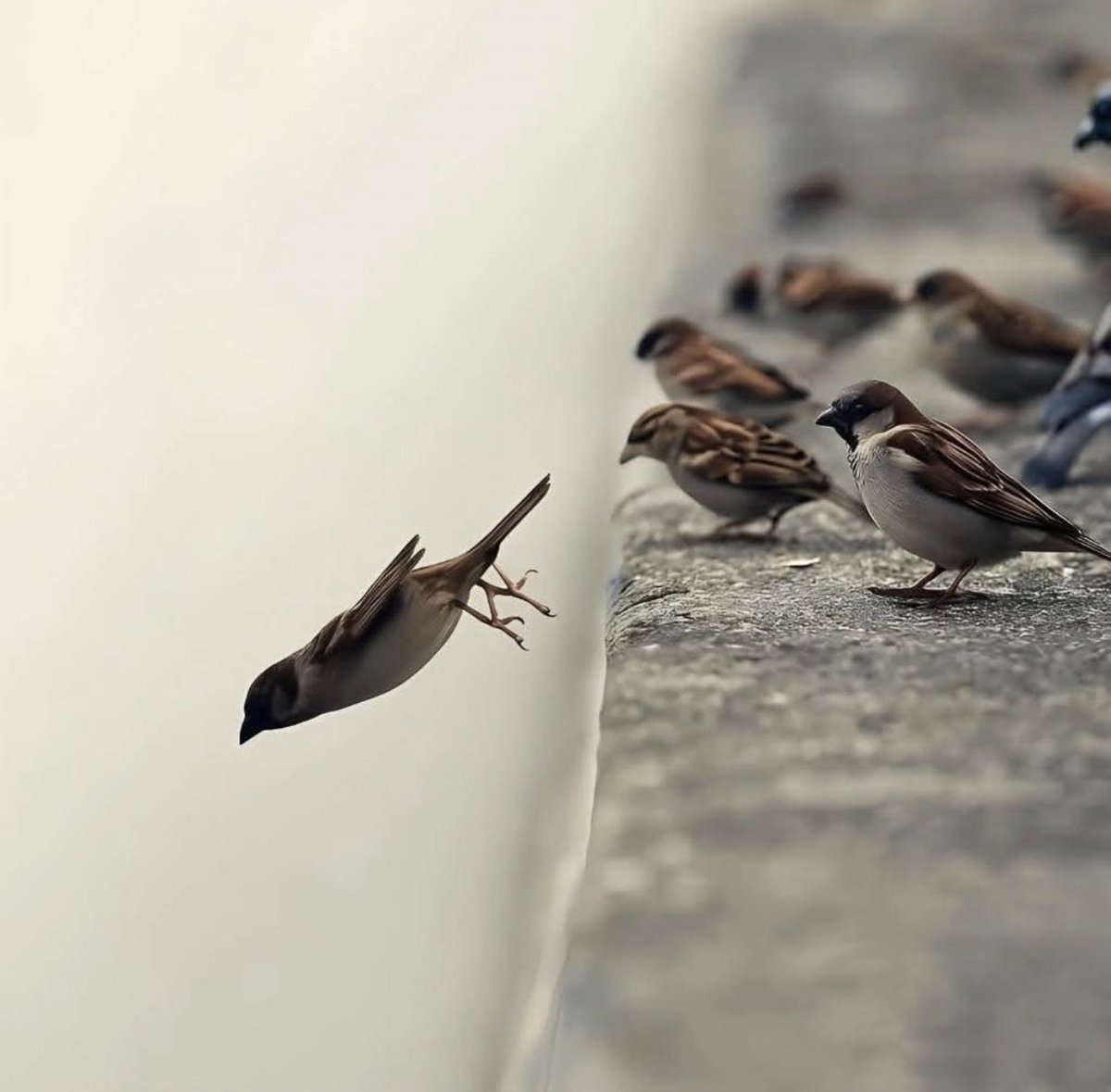 _અસંભવ ફક્ત એ જ છે,_
_જેની તમે શરૂઆત નથી કરી.._