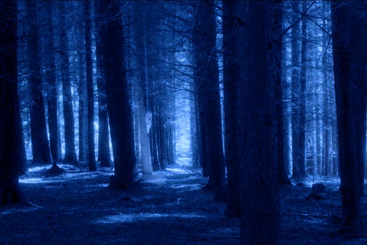 Still Corners tweet media