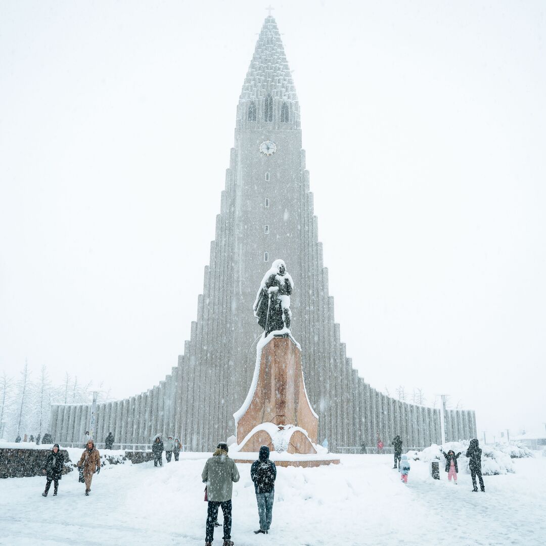 Arctic Adventures tweet media