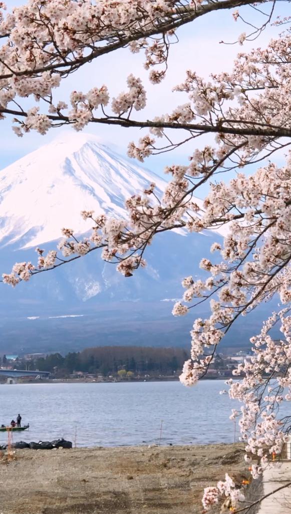 日曜日の午前、晴れ。のんびり気分で音楽を聴く。