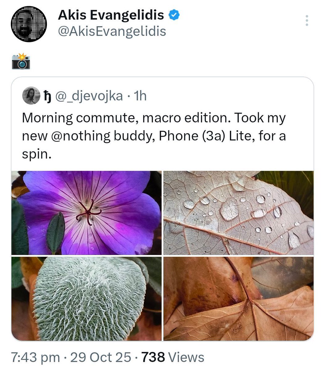 TechKhaled_'s tweet image. The irony is crazy, Nothing is going downhill.