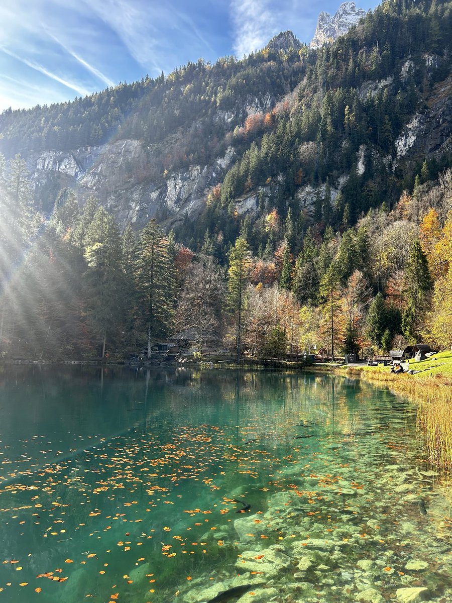 elmasmegumi's tweet photo. Lac Blausee ,Suisse https://t.co/vEucUcEHob