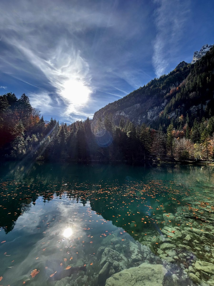 elmasmegumi's tweet photo. Lac Blausee ,Suisse https://t.co/vEucUcEHob