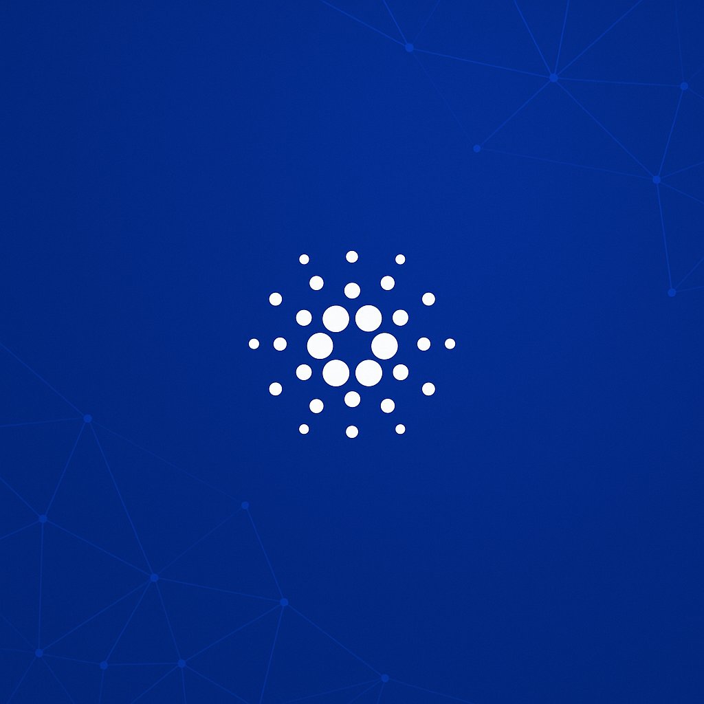 Juanita Jaramillo R▕⃝⃤ tweet media